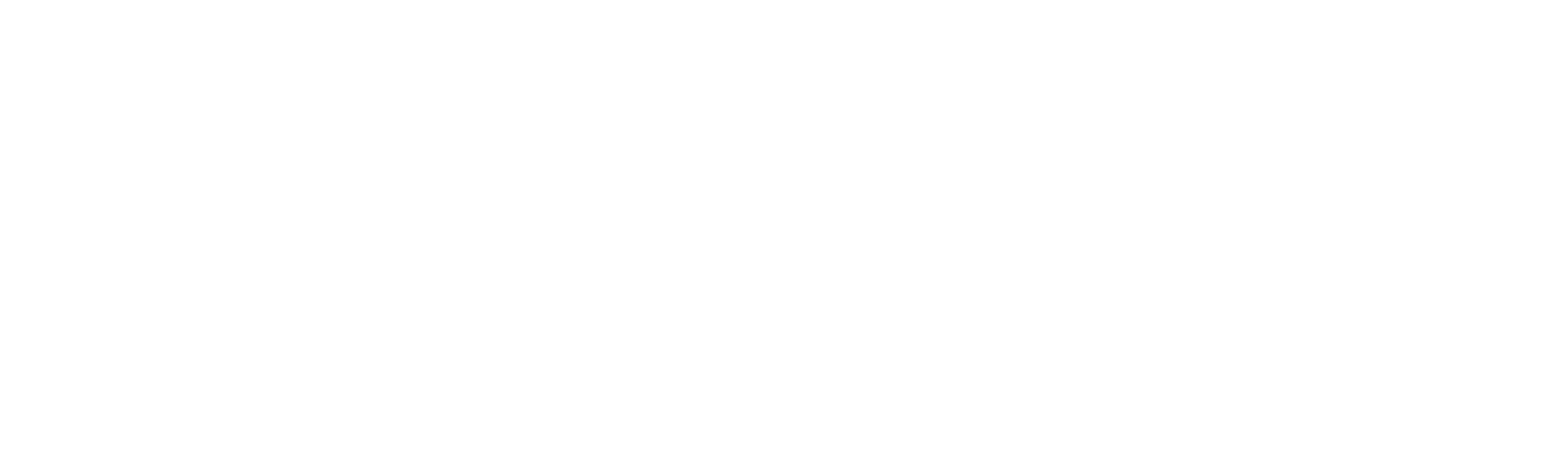 SeaLead Logo White
